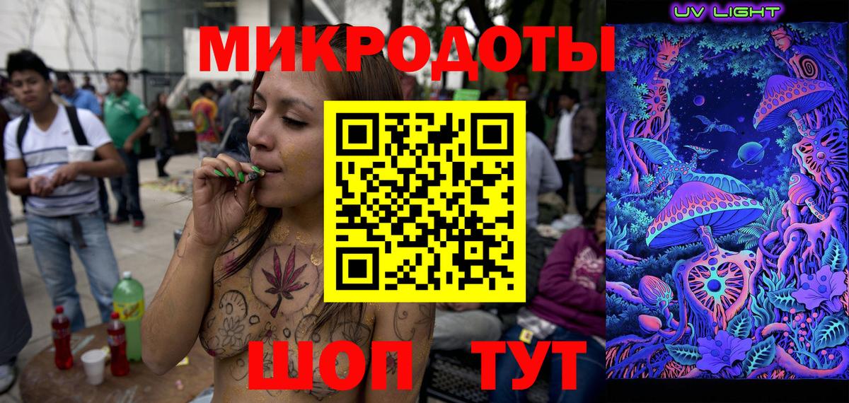 Галлюциногенные грибы Psilocybe Новотроицк