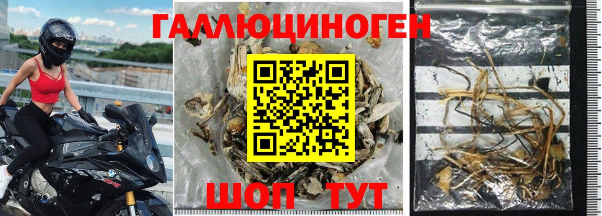 Псилоцибиновые грибы мухоморы  Вход с VPN  Новотроицк 